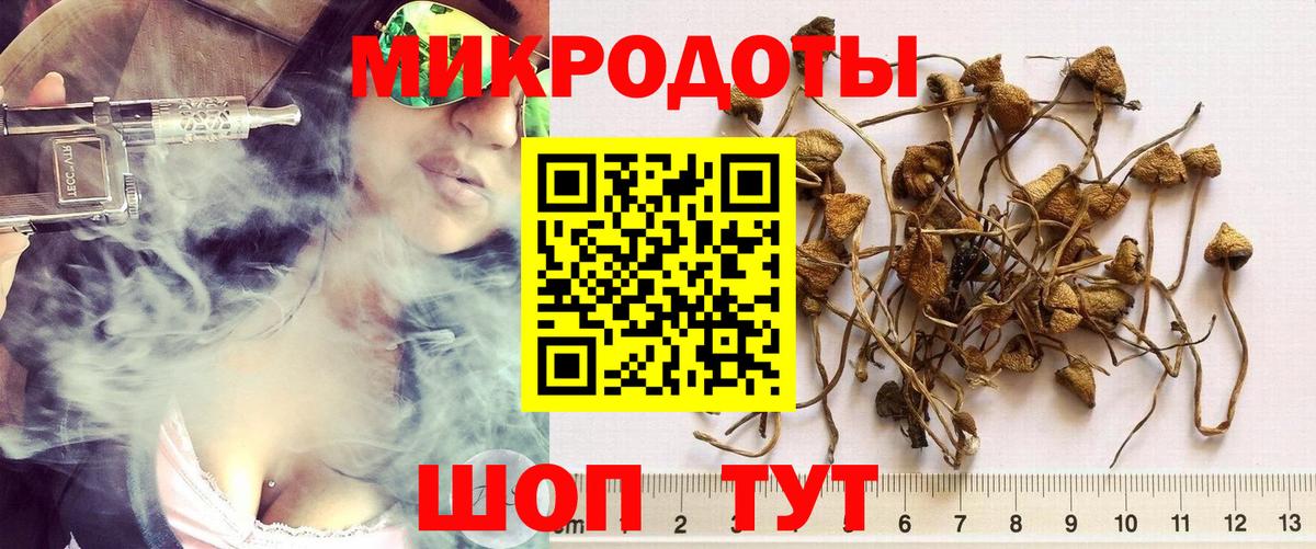 Псилоцибиновые грибы прущие грибы  Галлюциногенные грибы Magic Shrooms  Майский  Вход с VPN 
